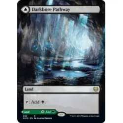 DARKBORE PATHWAY (BORDERLESS) Kaldheim KHM Magic MTG MINT CARD - Image 1