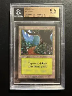 Forest V3 (B) (With Trail) | MTG Beta | BGS Beckett Graded 9.5+ (10|9|9.5|9.5) - Image 1