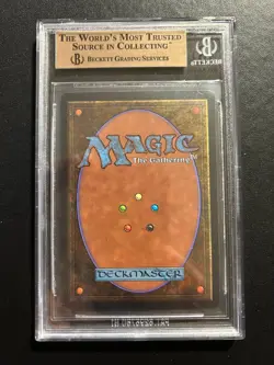Forest V3 (B) (With Trail) | MTG Beta | BGS Beckett Graded 9.5+ (10|9|9.5|9.5) - Image 2