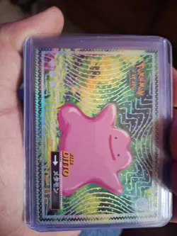 Ditto #132 - Silver Holo Box Hit - Flash Edition Safari 2025 - Pokemon Card - Image 1