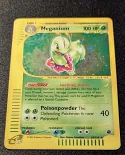 Pokemon EXPEDITION - #18/165 Meganium - ENG - Holo - Near Mint - Image 3