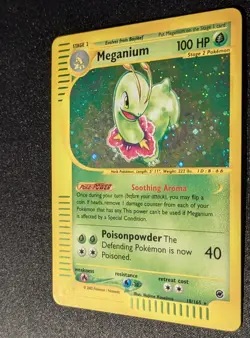 Pokemon EXPEDITION - #18/165 Meganium - ENG - Holo - Near Mint - Image 5