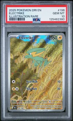 2025 Pokemon DRI EN Electrike #196/182 Illustration Rare PSA 10 - Image 1