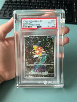 2023 POKEMON PALDEA EVOLVED #203 MAGIKARP PSA 10 - NEW CERT - FREE GUARD - Image 3