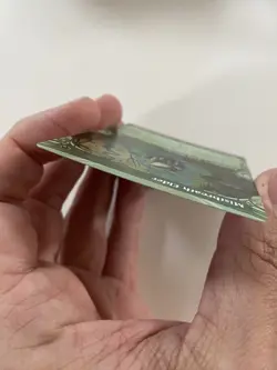 Mistbreath Elder (0323) *FOIL* SHOWCASE Bloomburrow MT/NM MTG Combined Shipping - Image 4