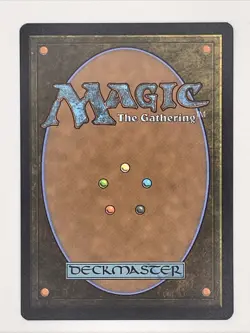 Hare Apparent Foundations Regular - Image 2