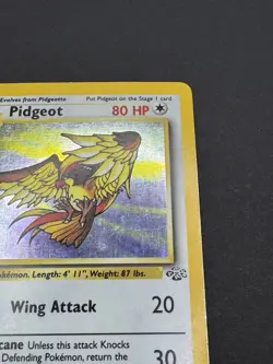Pokemon TCG - Pidgeot 8/64 - Jungle - Holo - MP - Image 4