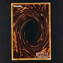 Raiza the Storm Monarch FOTB-EN026 - Force of the Breaker - Yugioh Card - Image 2