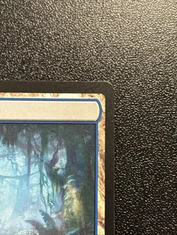 MISTY RAINFOREST 250/303 MODERN HORIZONS 2 MH2 MAGIC: THE GATHERING RARE JR - Image 3
