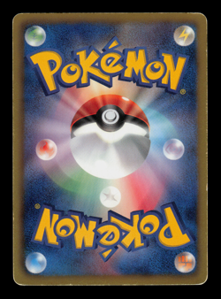 MP - Pokemon Japanese World Hobby Fair Zoroark 024/BW-P Promo - Image 2