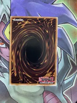 RYMP-EN019 Rainbow Neos Common 1st Edition NM Yugioh Card - Image 2