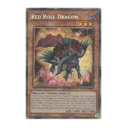 Yu-Gi-Oh! Red Rose Dragon - 2025 Mega-Pack (MP25) - Image 1