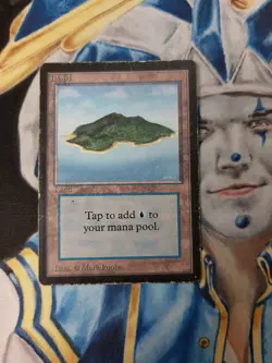 Island MTG Limited Edition Beta Common Land Heavily Played x1 CD2 - Image 1