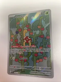 Pokemon Mega Evolution Shuckle 136/132 Illustration Rare Holo NM Free Shipping - Image 1