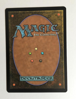 Dragonhawk, Fate's Tempest Promo Pack: Bloomburrow Regular - Image 2