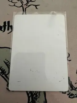 Fire Ants Urza's Saga : Signed Artist Proof - Image 2