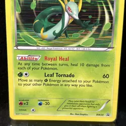 Serperior BW20 Black & White Black Star Promo Holo Pokemon Card - Image 2