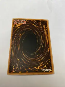 Dark Paladin Secret Rare Limited Edition Dmg-001 - Image 5
