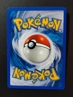 Ursaring 110/144 Skyridge Non-Holo 2003 WOTC Vintage E-Reader Pokemon Card NM - Image 2