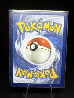 Blaziken V 020/198 Chilling Reign Holo Ultra Rare Pokemon Card TCG English NM - Image 2