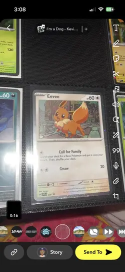 Eevee 200 Black Star Promo Destined Rivals Pokemon Card NM + Zarude 199 - Image 3