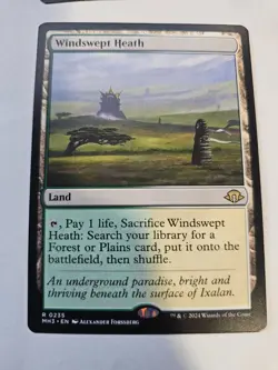 MTG - Windswept Heath - Modern Horizons 3 - Image 1