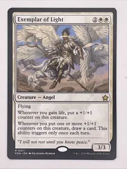 Exemplar of Light Foundations Regular - Image 1