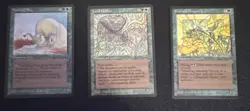MTG 1994 Collection - Vintage Cards - Image 3