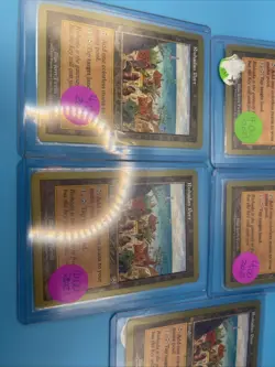 Rishadan Port Bulk Lot Mtg World Championship 2000 Gem Mint Unplayed Lot 1G - Image 3