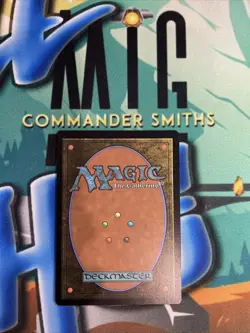 1x Bag End (Horizon Canopy) Borderless NonFOIL LOTR (366) MTG NM Mint Box Topper - Image 2