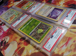 4x SEQUENTIAL PSA 8'S - Numel Spinarak Bidoof Reverse Holo Peelable Ditto Cards - Image 3