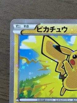 Pikachu 206/XY-P Mega Charizard Promo Card XY 2016 Pokemon Center Japanese 54 - Image 3