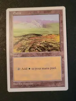 MTG Plains Fifth Edition 433 Regular Land - Image 1