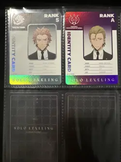 Mapniverse Solo Leveling Card Lot - Image 1