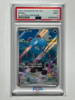 Pokemon 2023 Paldea Evolved Marill #204 PSA 9 Mint Scarlet & Violet - Image 1