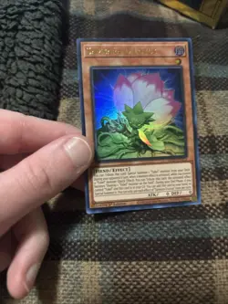 x1 Samsara D Lotus - MP25-EN152 - Ultra Rare - 1st Edition Yu-Gi-Oh! M/NM - Image 5