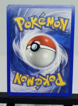 Bayleef 29/111 Neo Genesis Vintage WotC Pokemon Card - NM - FREE SHIPPING - Image 2