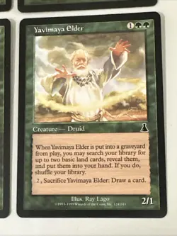 Yavimaya Elder X4 Urza’s Destiny Ex Condition See Pics Front Back - Image 2