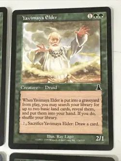 Yavimaya Elder X4 Urza’s Destiny Ex Condition See Pics Front Back - Image 4