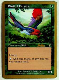 Birds of Paradise - World Championships - 2002 Sydney Gold - Magic the Gathering - Image 1