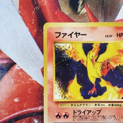 Moltres - Quick Starter Gift Set 1998 - Holo Japanese Pokemon Card - Lot #754 - Image 3