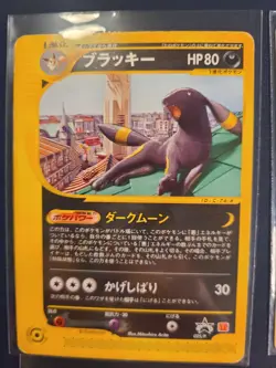 Vintage Japanese McDonalds Promo Pokemon 14 Card Lot P-Promos Umbreon Mew Pichu - Image 3