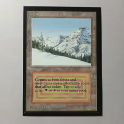 Taiga x (1) MTG - Collectors' Edition (CE) - EX/NM - Image 1