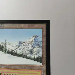 Taiga x (1) MTG - Collectors' Edition (CE) - EX/NM - Image 3