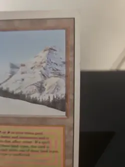 Taiga Revised Edition Regular - Image 3