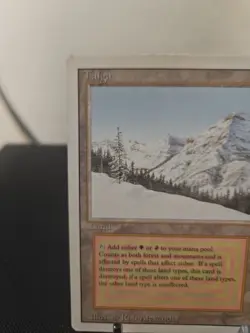 Taiga Revised Edition Regular - Image 4