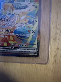 Keldeo EX 167/086 SIR Pokemon White Flare Full Art Special Illustration Rare - Image 5