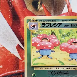 Vileplume - Reverse Holo - Southern Islands - Japanese Pokemon Card Lot #767 - Image 3