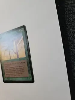 Magic The Gathering Alpha Set Giant Spider - See Photos - OC3035 - Image 2