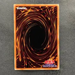 NM 3 card Toon Dark Magician Girl PGB1-JP021 Millennium Rare YuGiOh 400 - Image 3